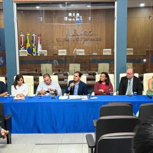 Chico Guarnieri dá voz à região Sul e cobra melhorias da Energisa em audiência pública