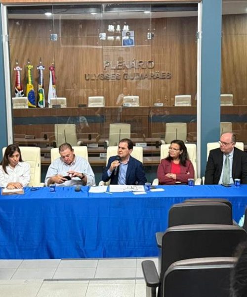 Chico Guarnieri dá voz à região Sul e cobra melhorias da Energisa em audiência pública