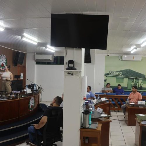 Alinhado entre o Executivo e Legislativo aplicação das emendas parlamentares e apresentação à LOA 2026