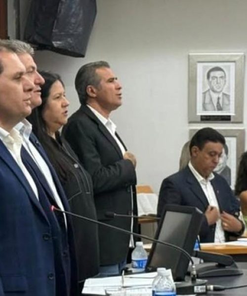 “Nós precisamos ter a garantia que esses problemas serão todos resolvidos”, cobrou Chico Guarnieri sobre as demandas relacionadas a Energisa