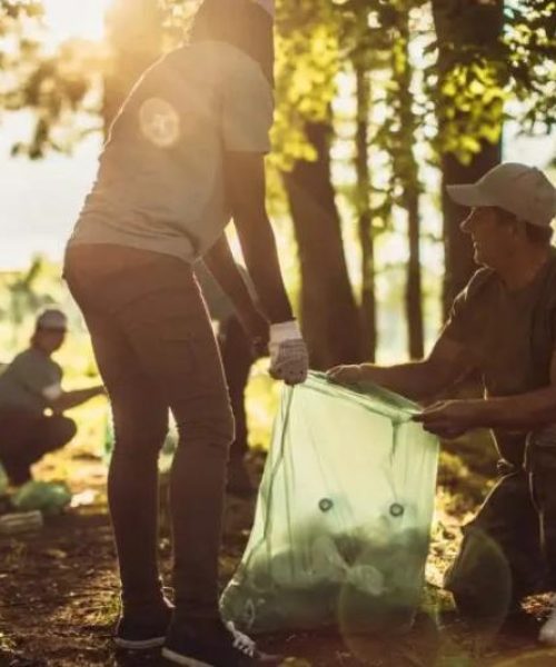 Catadores de materiais recicláveis recebem menos que o salário mínimo em MT, aponta pesquisa