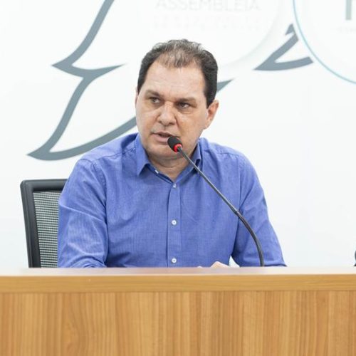 Chico Guarnieri participa de reuniões em Brasília sobre energia elétrica e moratória da soja