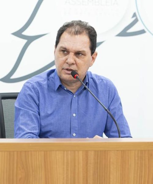 Chico Guarnieri participa de reuniões em Brasília sobre energia elétrica e moratória da soja