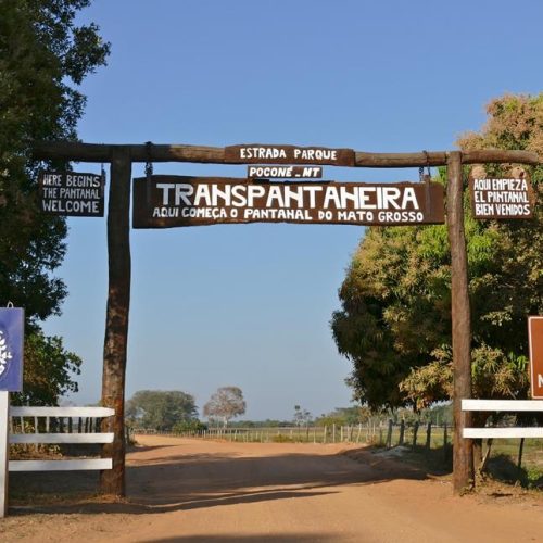 Chico Guarnieri destaca impacto no turismo após autorização de 20 pontes na Transpantaneira