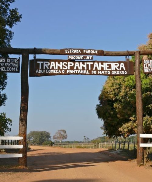 Chico Guarnieri destaca impacto no turismo após autorização de 20 pontes na Transpantaneira