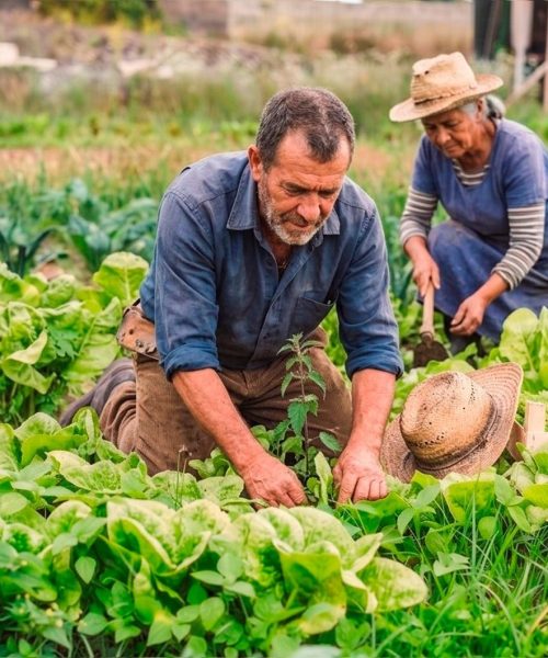 Chico Guarnieri articula entrega de 50 kits de ferramentas para agricultores familiares de Denise