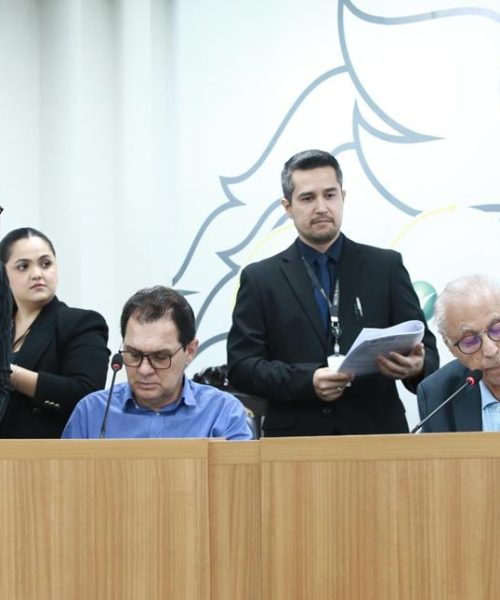 Na principal comissão da ALMT, Chico Guarnieri relata 11 matérias na primeira sessão