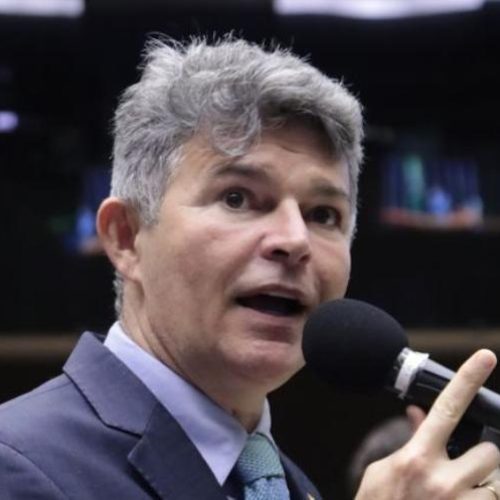 Comissão aprova PL de José Medeiros que protege abelhas sem ferrão em áreas urbanas