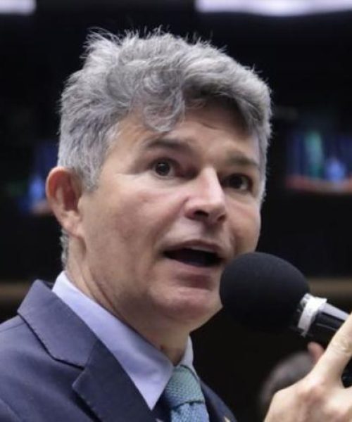 Comissão aprova PL de José Medeiros que protege abelhas sem ferrão em áreas urbanas