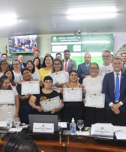 Profissionais que prestam apoio à educação especial são homenageados