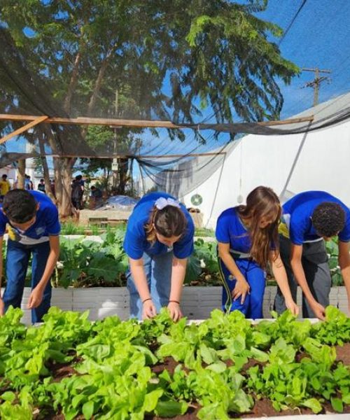 Escola Estadual Jada Torres incentiva alimentação saudável e aprendizado prático com horta escolar