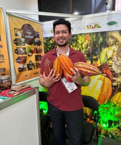  Empaer executará R$ 2,5 milhões em experimentos para posicionar MT na rota internacional do cacau