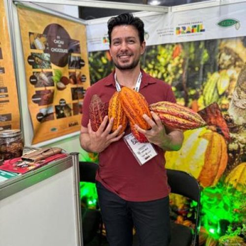  Empaer executará R$ 2,5 milhões em experimentos para posicionar MT na rota internacional do cacau