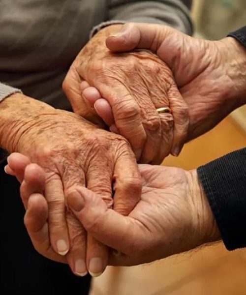 Autorizado crédito especial para diagnóstico situacional da população idosa