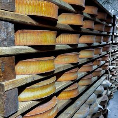 Produtores de queijo de Mato Grosso participam de missão na França