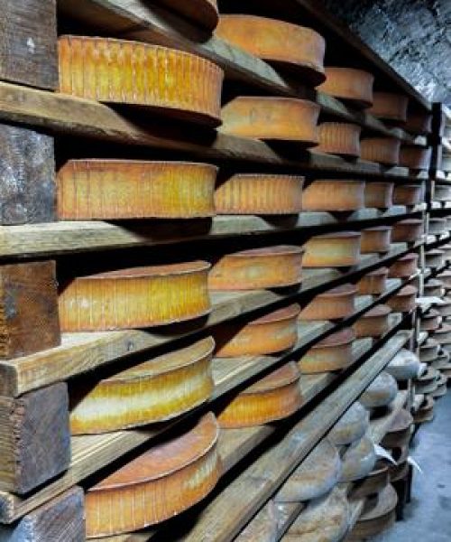 Produtores de queijo de Mato Grosso participam de missão na França