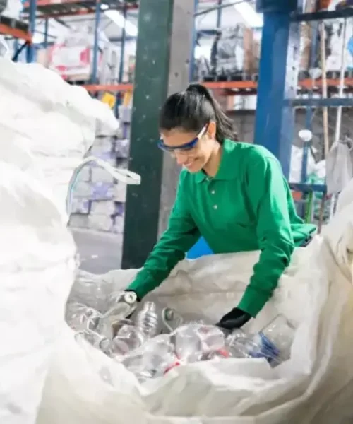 Cooperativas reciclam 620 toneladas por mês em MT, mas ainda enfrentam falta de estrutura e apoio público