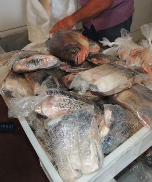 Peixe Santo: Feira do Centro atende em horário especial nesta quinta e amanhã